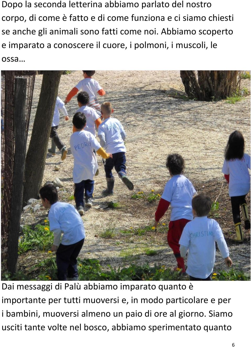 Abbiamo scoperto e imparato a conoscere il cuore, i polmoni, i muscoli, le ossa Dai messaggi di Palù abbiamo