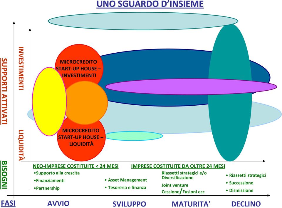 alla crescita Finanziamenti Partnership Asset Management Tesoreria e finanza IMPRESE COSTITUITE DA OLTRE 24 MESI Riassetti