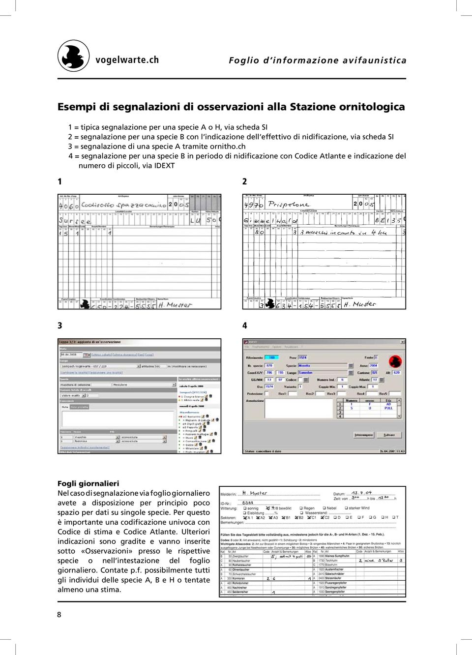 ch 4 = segnalazione per una specie B in periodo di nidificazione con Codice Atlante e indicazione del numero di piccoli, via IDEXT 1 2 3 4 Fogli giornalieri Nel caso di segnalazione via foglio