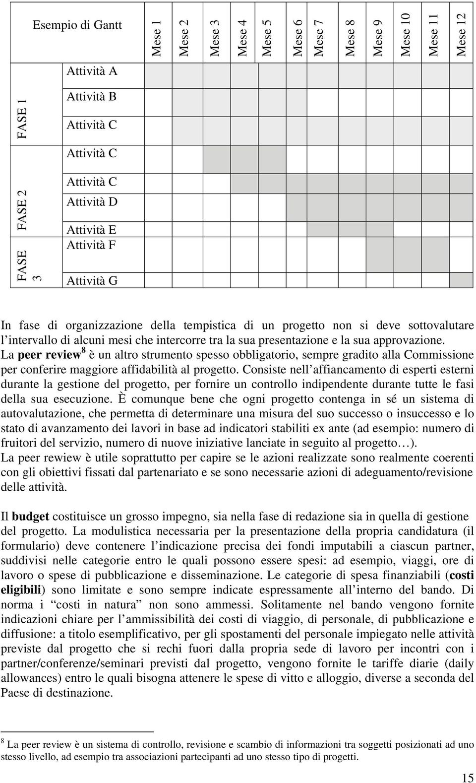 La peer review 8 è un altro strumento spesso obbligatorio, sempre gradito alla Commissione per conferire maggiore affidabilità al progetto.