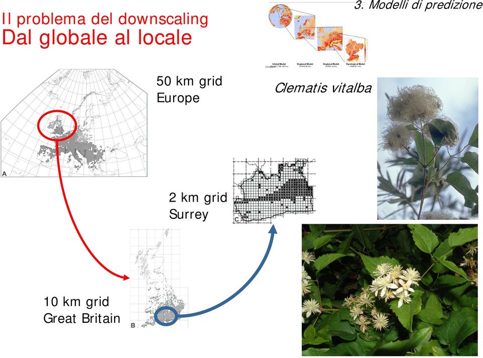 Modelli di predizione 50 km grid