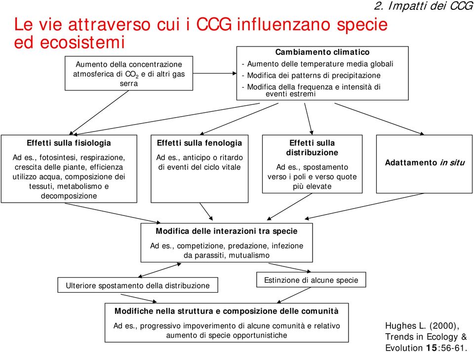 , fotosintesi, respirazione, crescita delle piante, efficienza utilizzo acqua, composizione dei tessuti, metabolismo e decomposizione Effetti sulla fenologia Ad es.