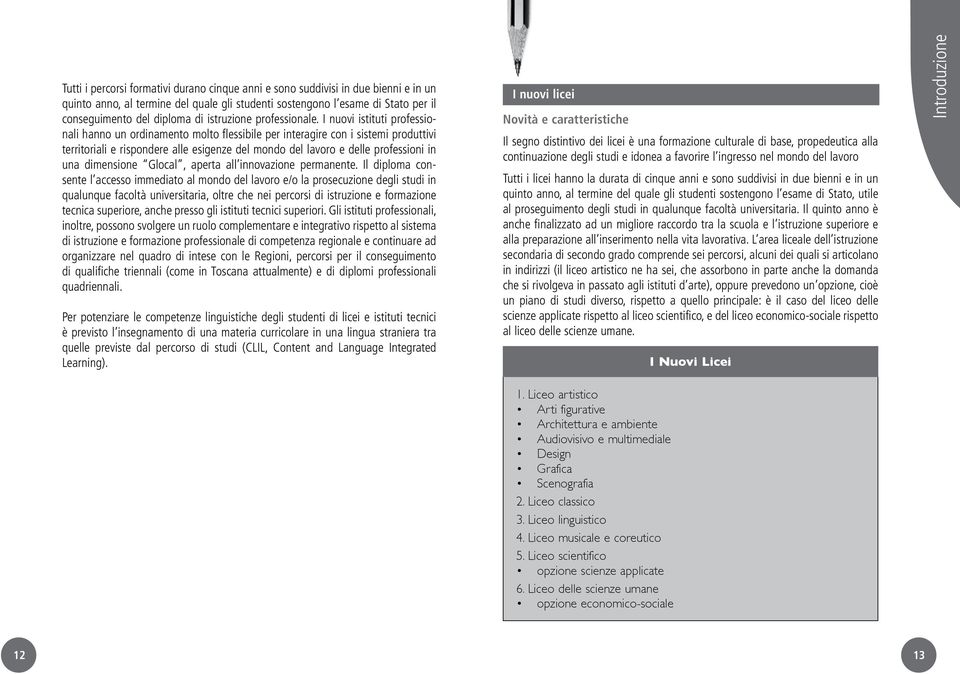 I nuovi istituti professionali hanno un ordinamento molto flessibile per interagire con i sistemi produttivi territoriali e rispondere alle esigenze del mondo del lavoro e delle professioni in una