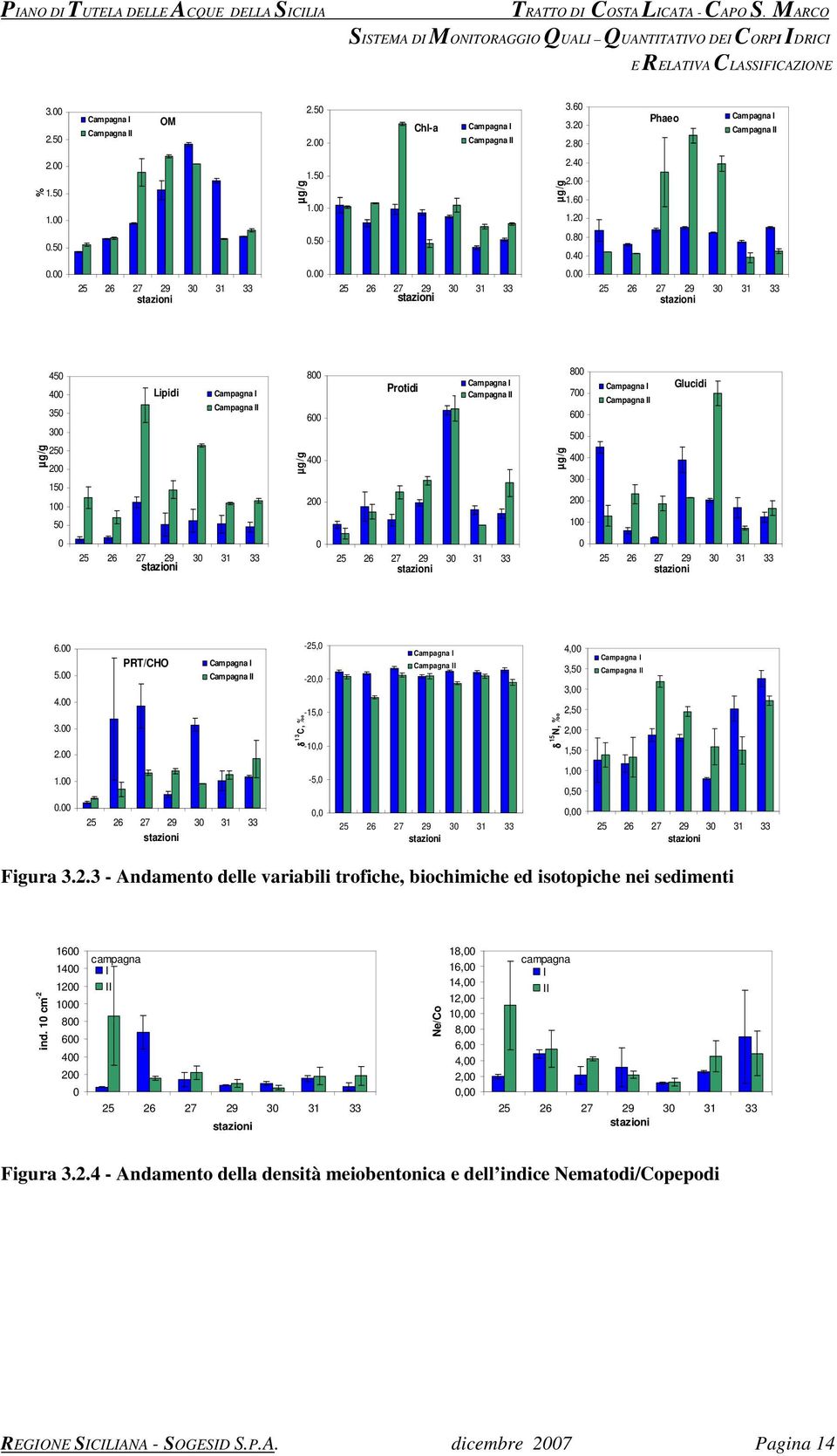 . - Andamento delle variabili trofiche, biochimiche ed isotopiche nei sedimenti ind. cm - 6 4 8 6 4 campagna I II 6 Ne/Co 8, 6, 4,,, 8, 6, 4,,, campagna I II 6 Figura.