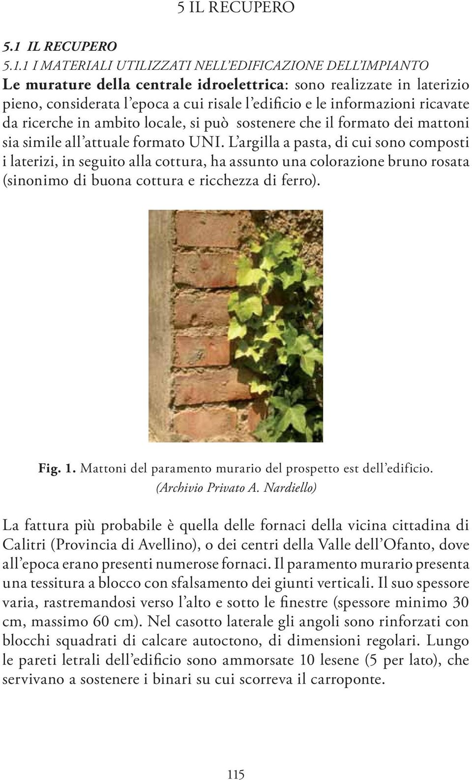 1 I MATERIALI UTILIZZATI NELL EDIFICAZIONE DELL IMPIANTO Le murature della centrale idroelettrica: sono realizzate in laterizio pieno, considerata l epoca a cui risale l edificio e le informazioni