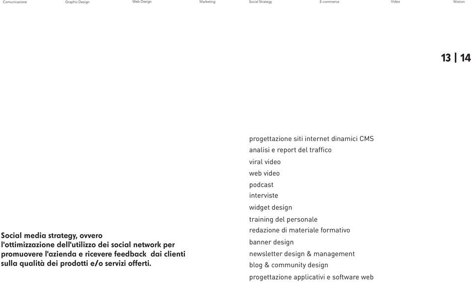 progettazione siti internet dinamici CMS analisi e report del traffico viral video web video podcast interviste widget design training del