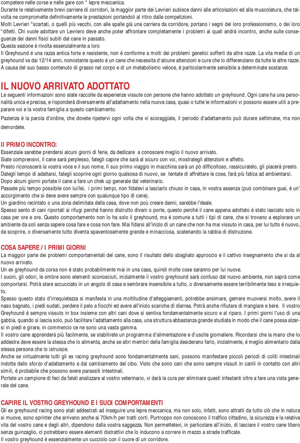 portandoli al ritiro dalle competizioni. Molti Levrieri scartati, o quelli più vecchi, con alle spalle già una carriera da corridore, portano i segni del loro professionismo, o dei loro difetti.