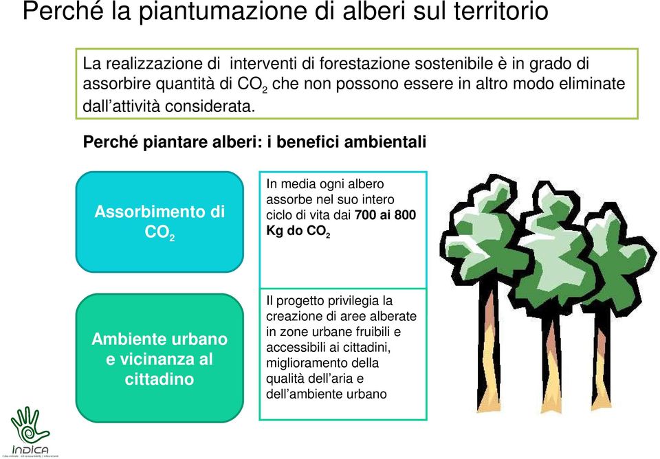 Perché piantare alberi: i benefici ambientali Assorbimento di CO 2 In media ogni albero assorbe nel suo intero ciclo di vita dai 700 ai 800 Kg