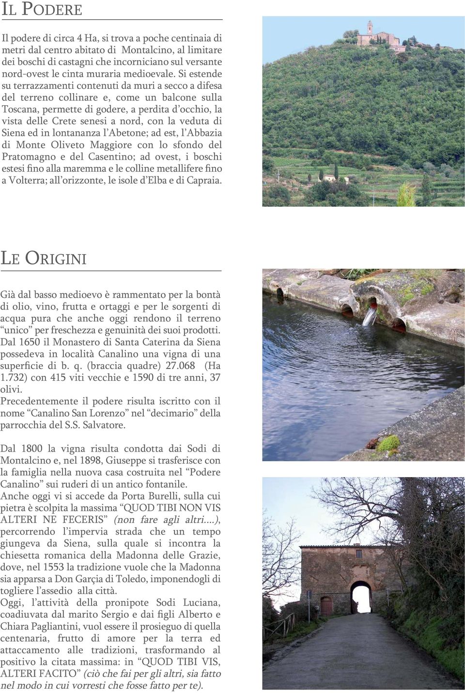 Si estende su terrazzamenti contenuti da muri a secco a difesa del terreno collinare e, come un balcone sulla Toscana, permette di godere, a perdita d occhio, la vista delle Crete senesi a nord, con