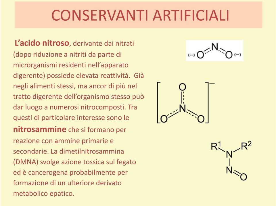 Già negli alimenti stessi, ma ancor di più nel tratto digerente dell organismo stesso può dar luogo a numerosi nitrocomposti.