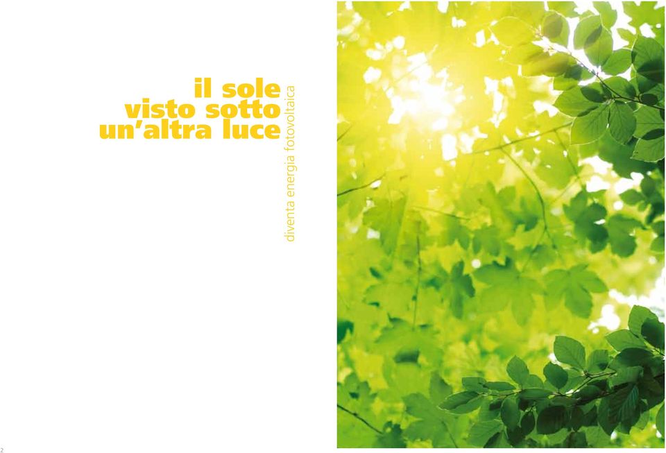 luce diventa