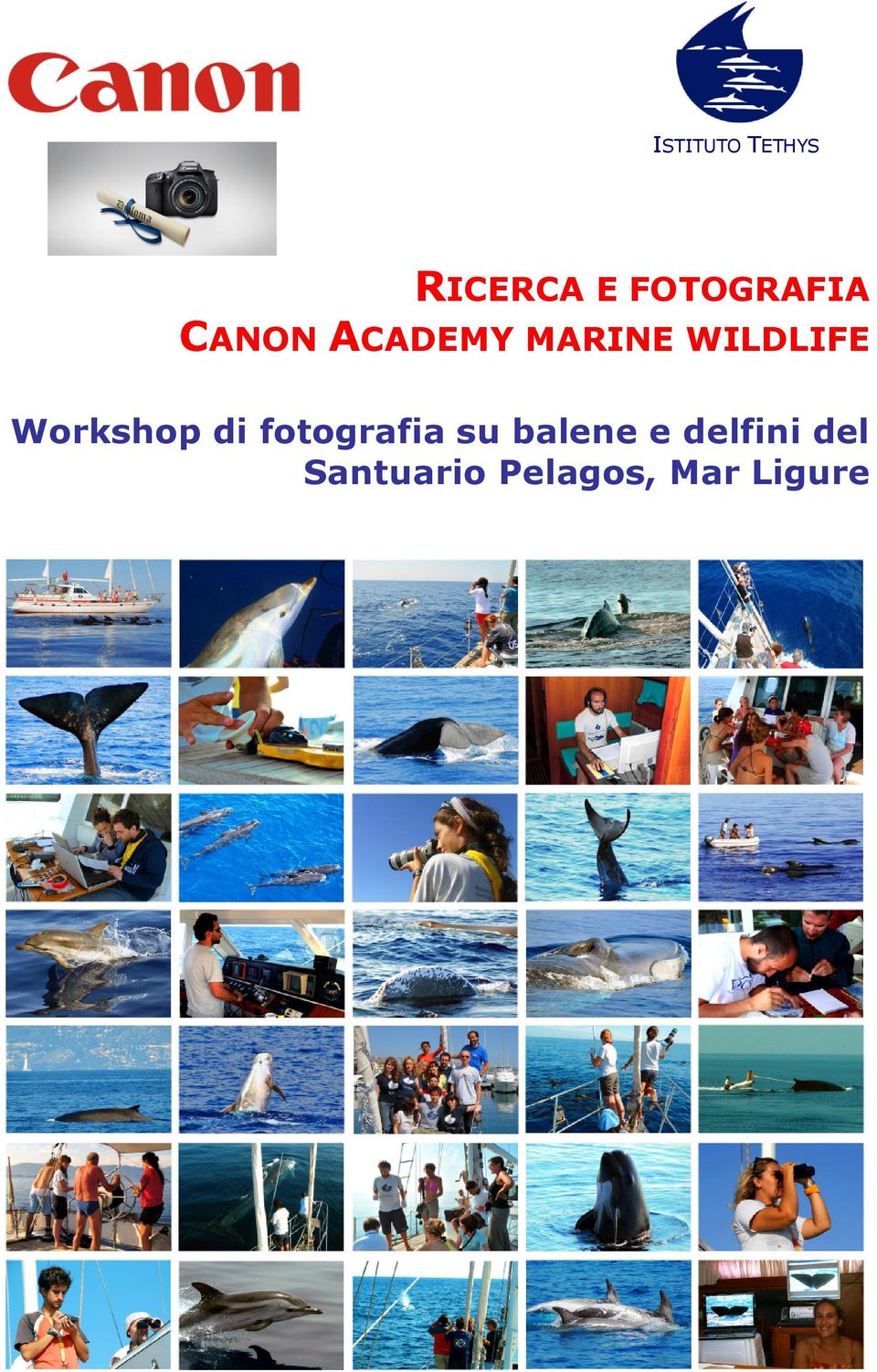 WILDLIFE Workshop di fotografia su