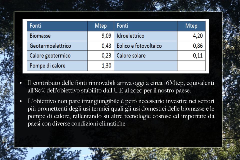 L'obiettivo non pare irrangiungibile è però necessario investire nei settori più promettenti degli usi