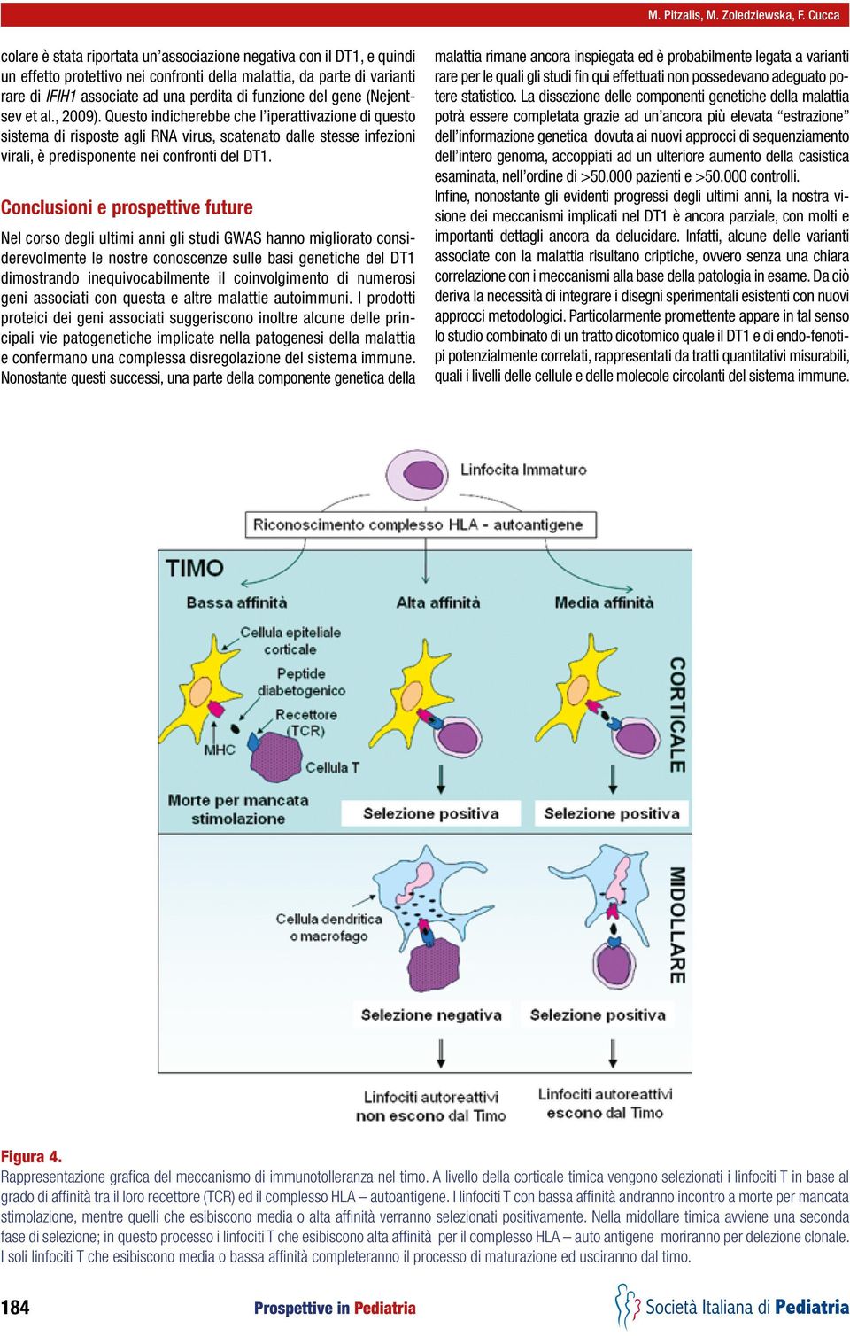 funzione del gene (Nejentsev et al., 2009).