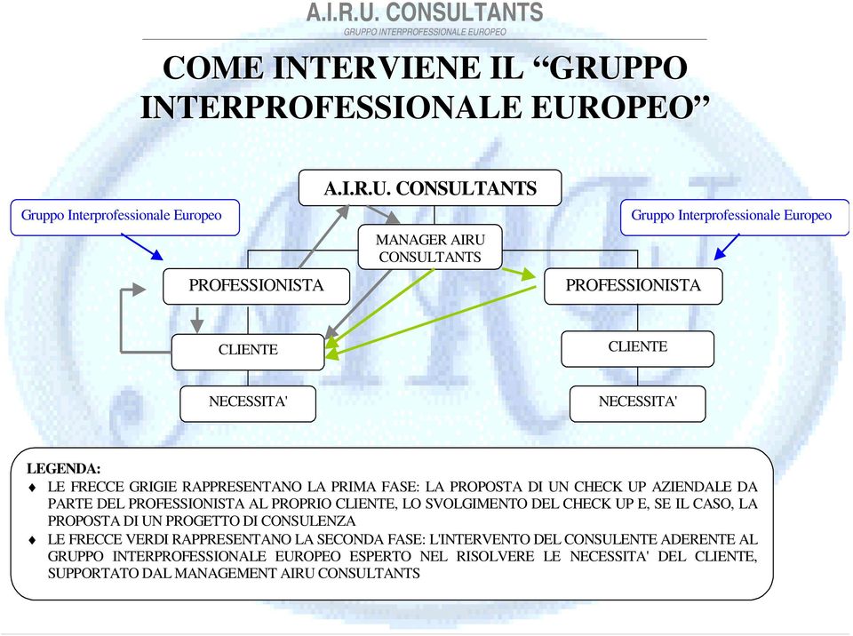 OPEO Gruppo Interprofessionale Europeo PROFESSIONISTA A.I.R.U.