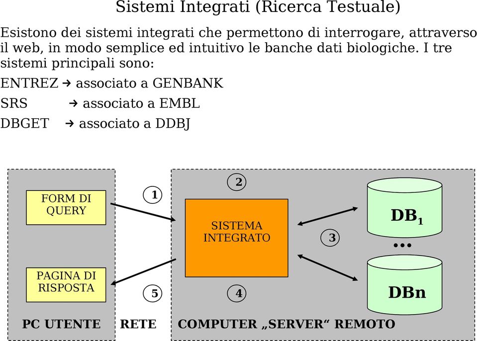 I tre sistemi principali sono: ENTREZ SRS DBGET Sistemi Integrati (Ricerca Testuale) associato