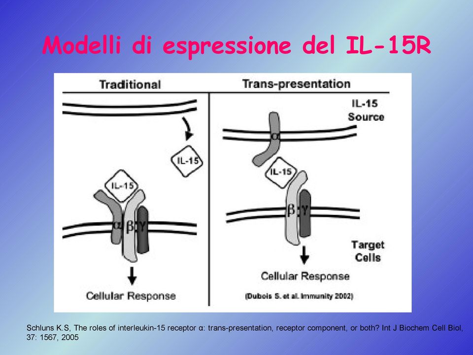 trans-presentation, receptor component, or