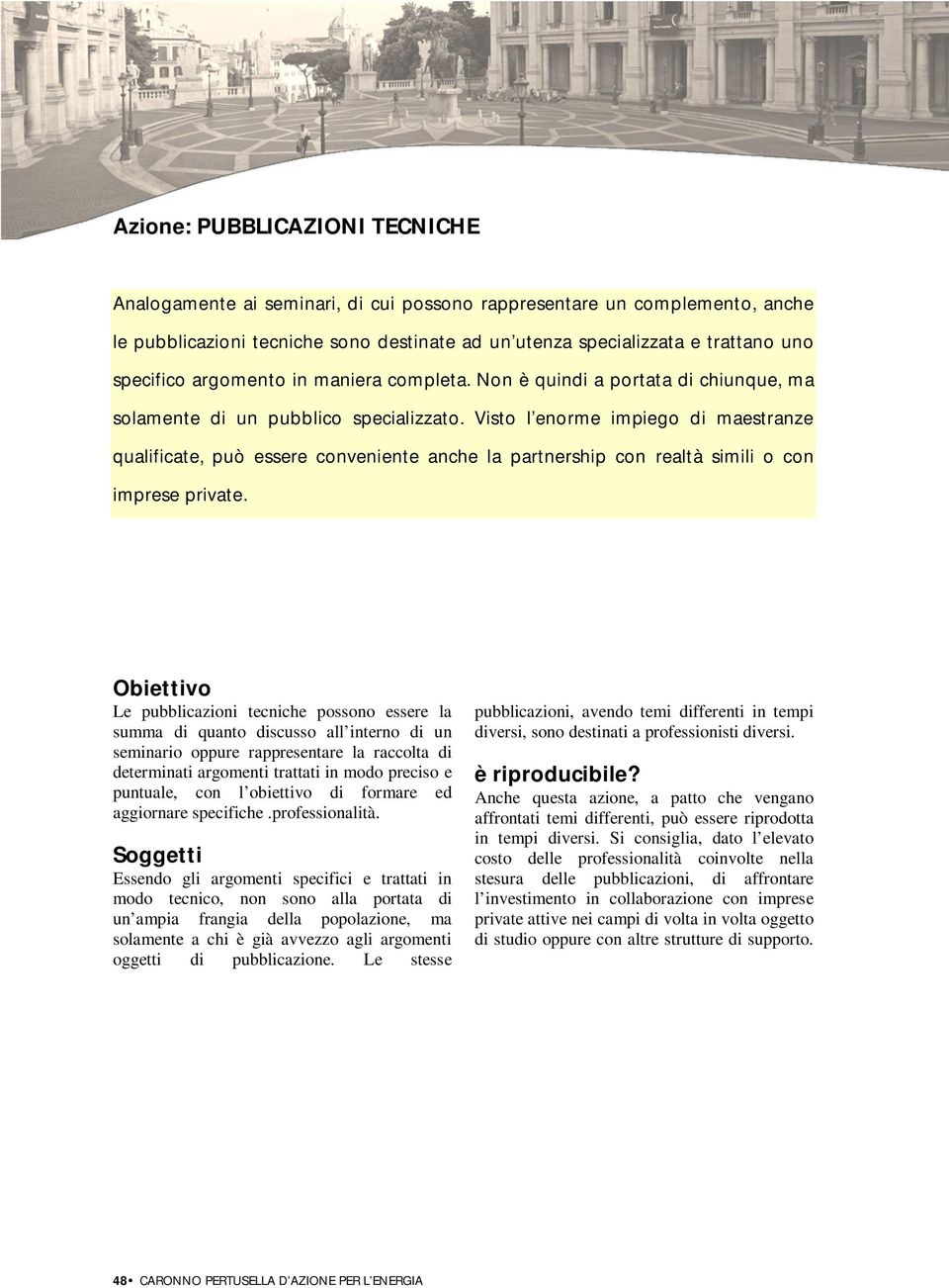 Visto l enorme impiego di maestranze qualificate, può essere conveniente anche la partnership con realtà simili o con imprese private.