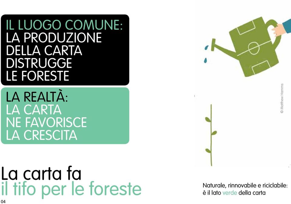 Sims Matthew Hamms La carta fa il tifo per le foreste 04