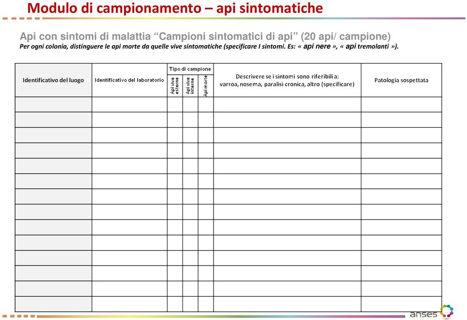 ogni colonia, distinguere le api morte da quelle vive