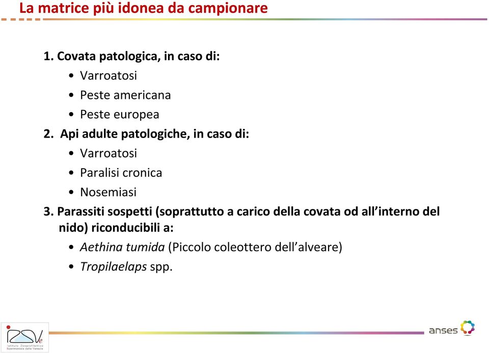 Api adulte patologiche, in caso di: Varroatosi Paralisi cronica Nosemiasi 3.