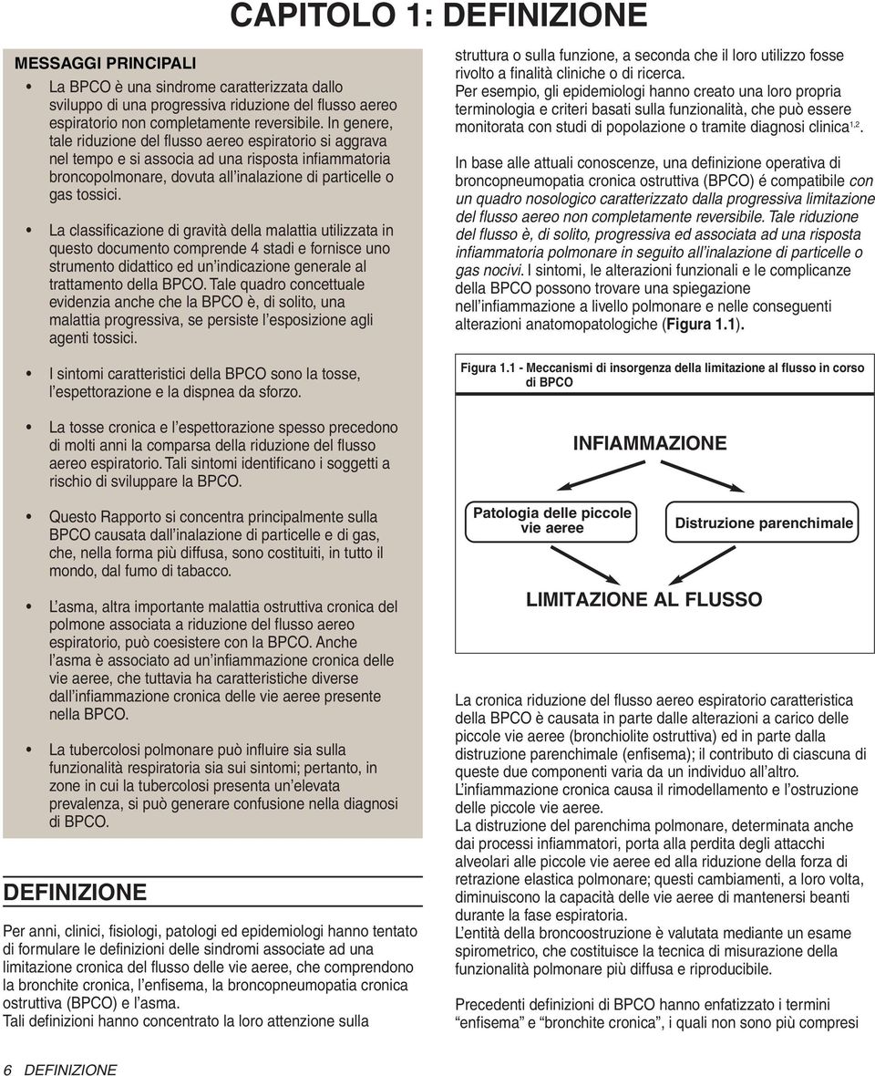 La classificazione di gravità della malattia utilizzata in questo documento comprende 4 stadi e fornisce uno strumento didattico ed un indicazione generale al trattamento della BPCO.