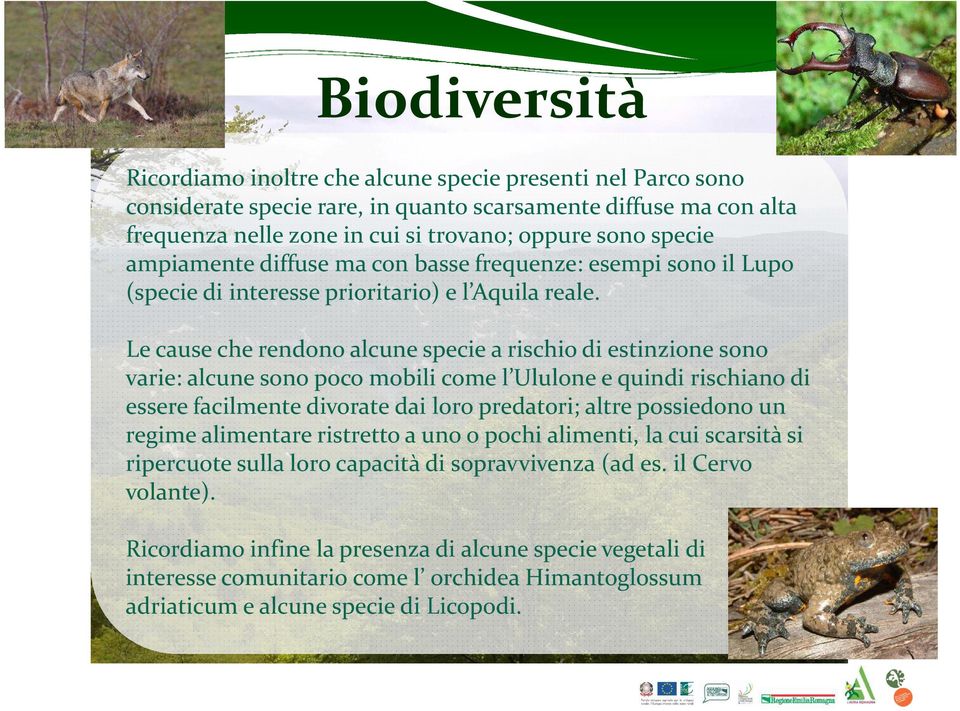 Le cause che rendono alcune specie a rischio di estinzione sono varie: alcune sono poco mobili come l Ululone e quindi rischiano di essere facilmente divorate dai loro predatori; altre possiedono un