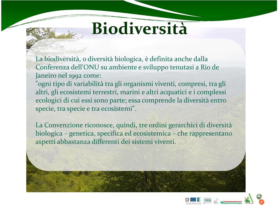 complessi ecologici di cui essi sono parte; essa comprende la diversità entro specie, tra specie e tra ecosistemi".