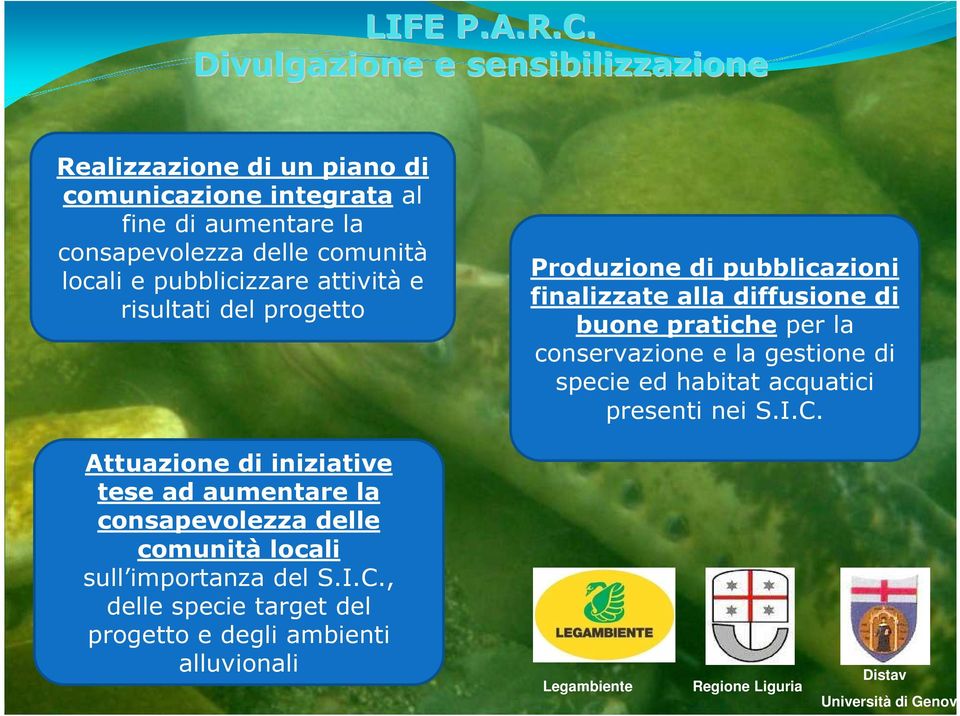 pubblicizzare attività e risultati del progetto Produzione di pubblicazioni finalizzate alla diffusione di buone pratiche per la conservazione e la