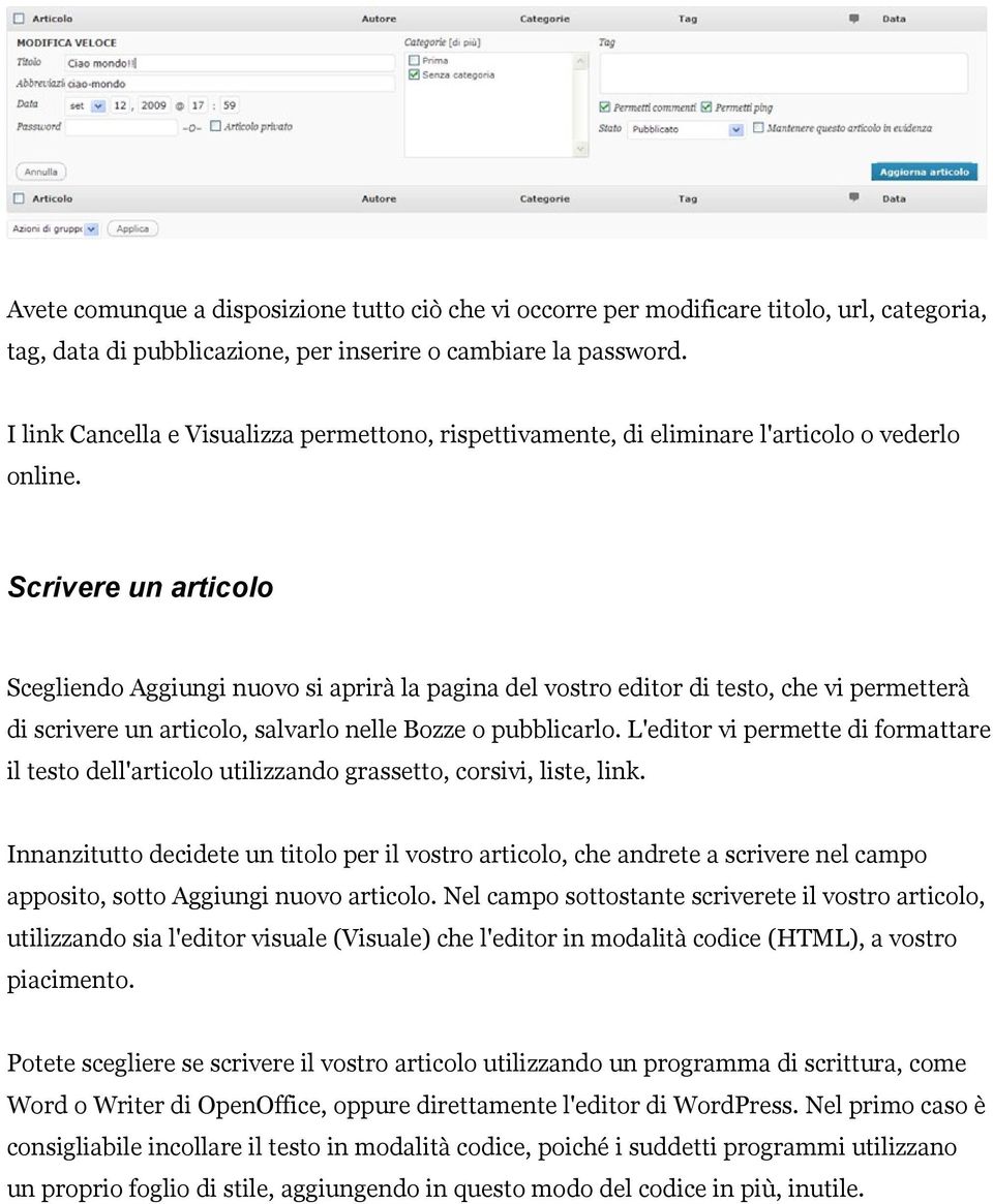 Scrivere un articolo Scegliendo Aggiungi nuovo si aprirà la pagina del vostro editor di testo, che vi permetterà di scrivere un articolo, salvarlo nelle Bozze o pubblicarlo.