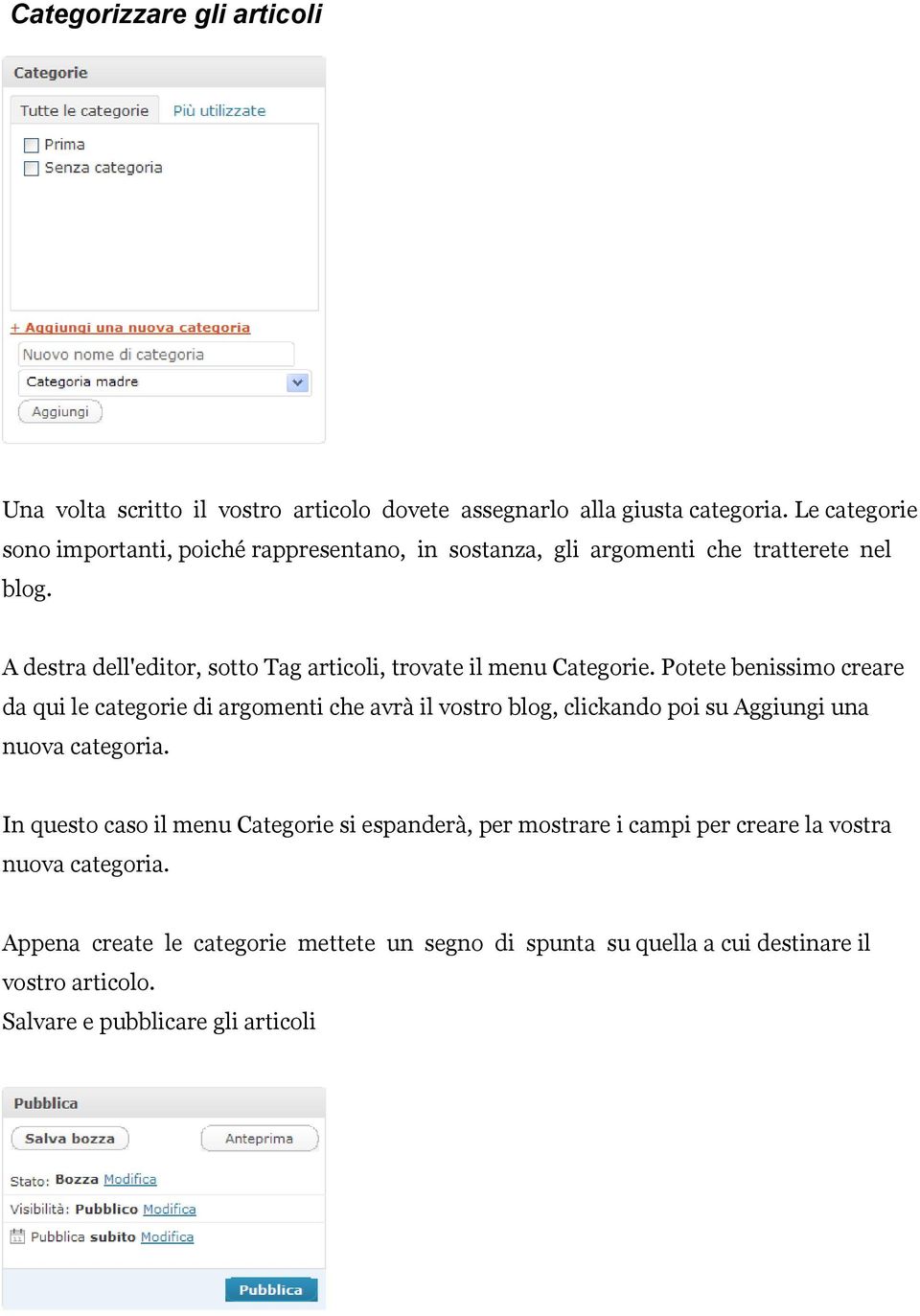 A destra dell'editor, sotto Tag articoli, trovate il menu Categorie.