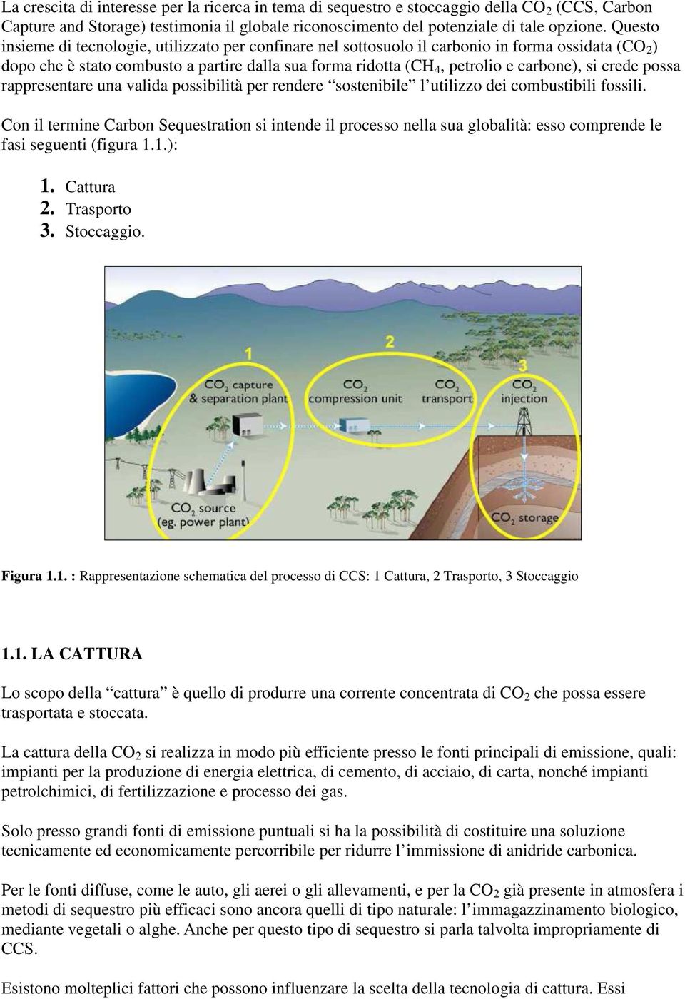 crede possa rappresentare una valida possibilità per rendere sostenibile l utilizzo dei combustibili fossili.