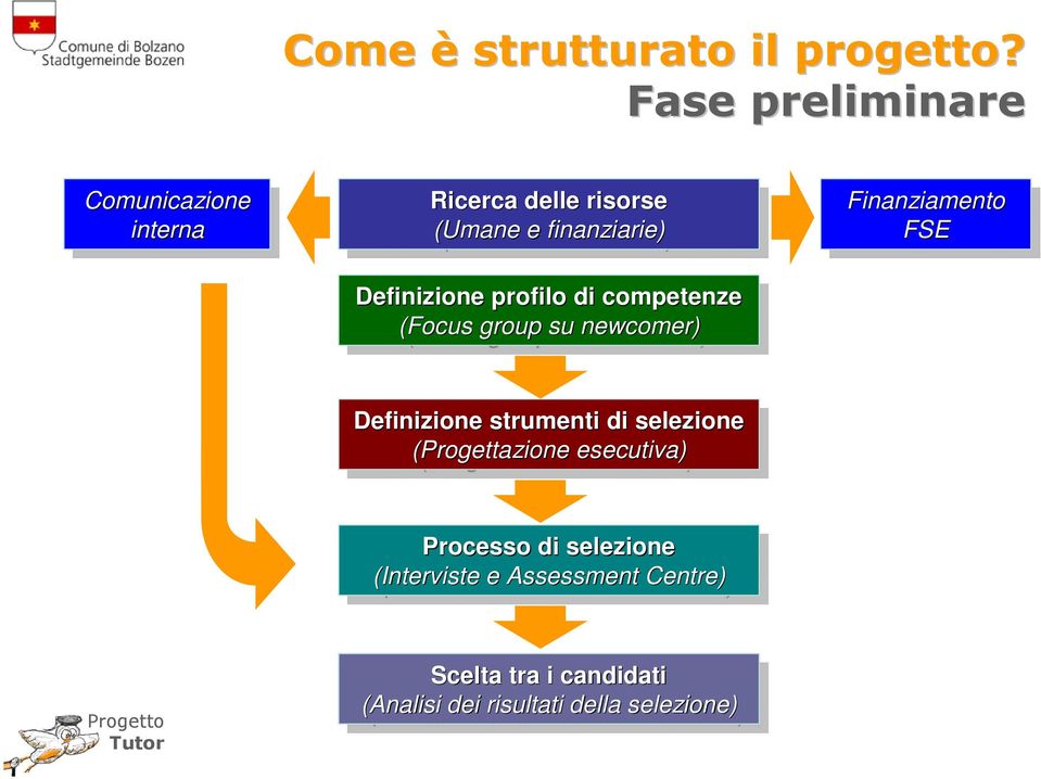 profilo profilo di di competenze competenze (Focus (Focus group group su su newcomer) newcomer) Finanziamento Finanziamento FSE FSE Definizione Definizione strumenti