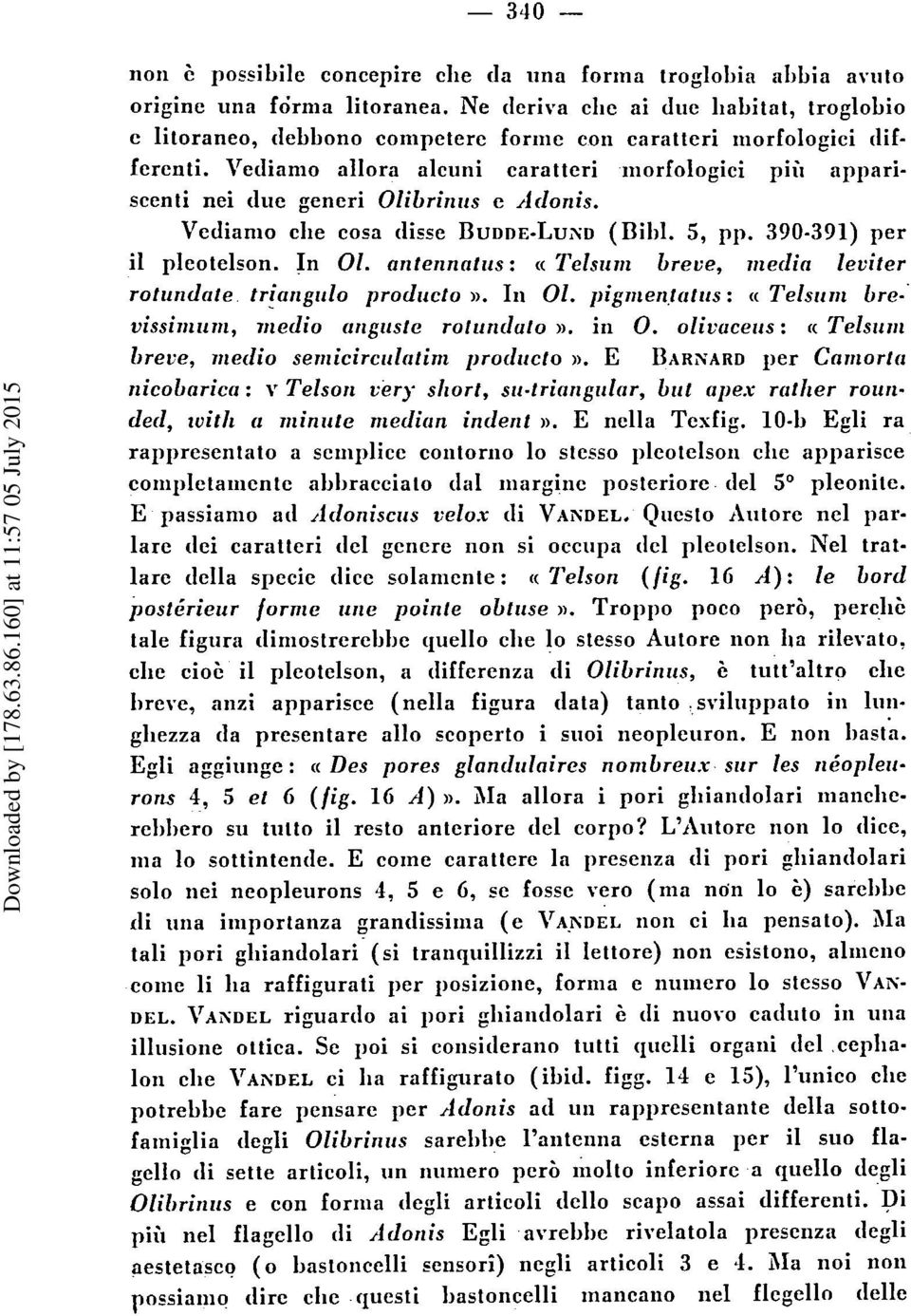 Vediamo allora alcuni carattcri niorfologici piii appariscenti nei due gencri Olibriniis e Adonis. Vedianio die cosa disse BUDDE-LUXD (Bild. 5, pp. 390-391) per il plcotelson. In 01.