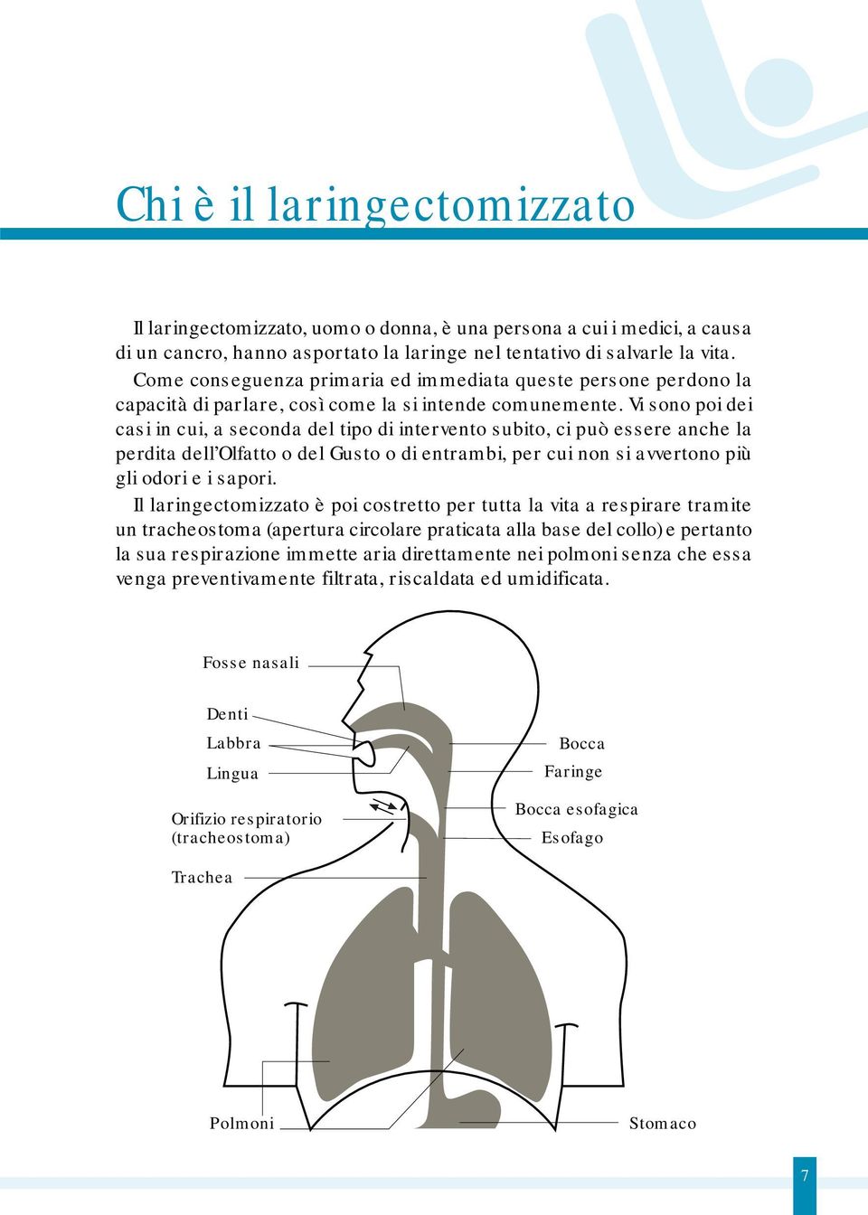 Vi sono poi dei casi in cui, a seconda del tipo di intervento subito, ci può essere anche la perdita dell Olfatto o del Gusto o di entrambi, per cui non si avvertono più gli odori e i sapori.