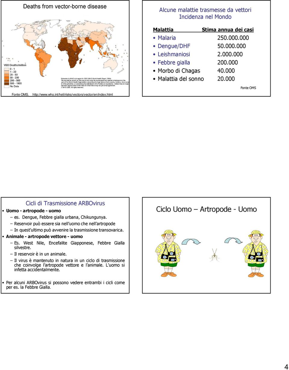 Dengue, Febbre gialla urbana, Chikungunya. Reservoir può essere sia nell uomo che nell artropode In quest ultimo può avvenire la trasmissione transovarica. Animale - artropode vettore - uomo Es.