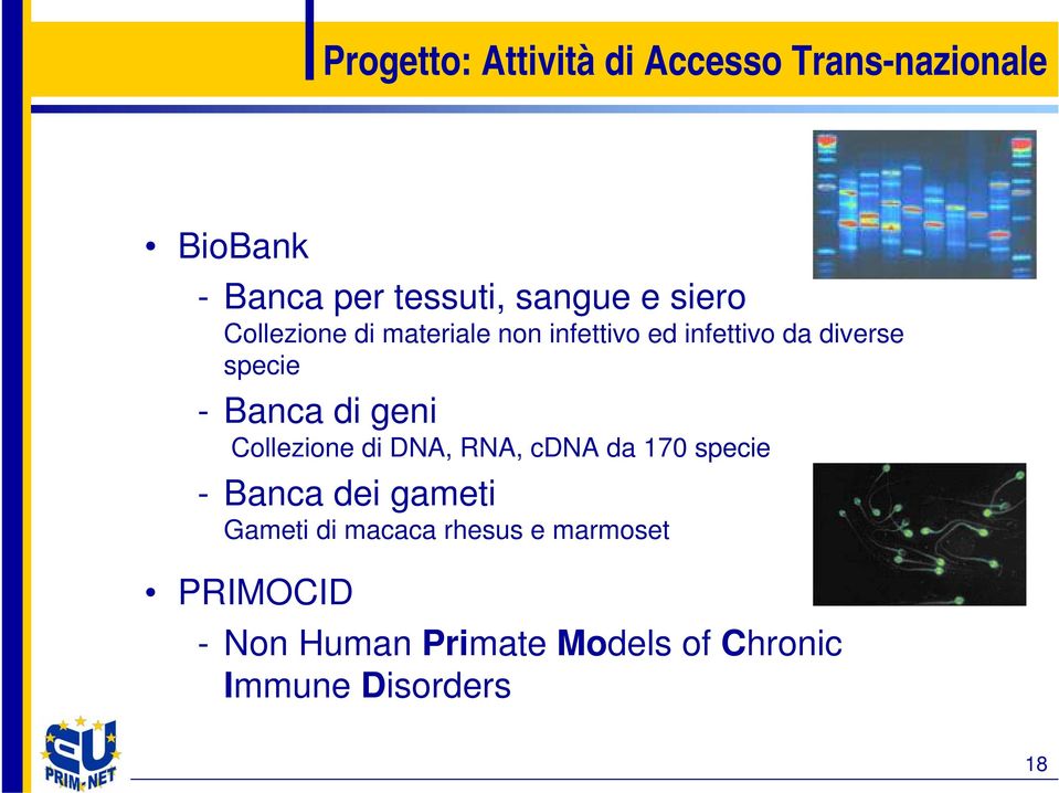 di geni Collezione di DNA, RNA, cdna da 170 specie - Banca dei gameti Gameti di