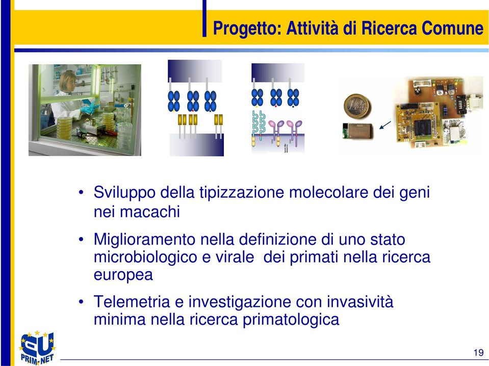 uno stato microbiologico e virale dei primati nella ricerca europea