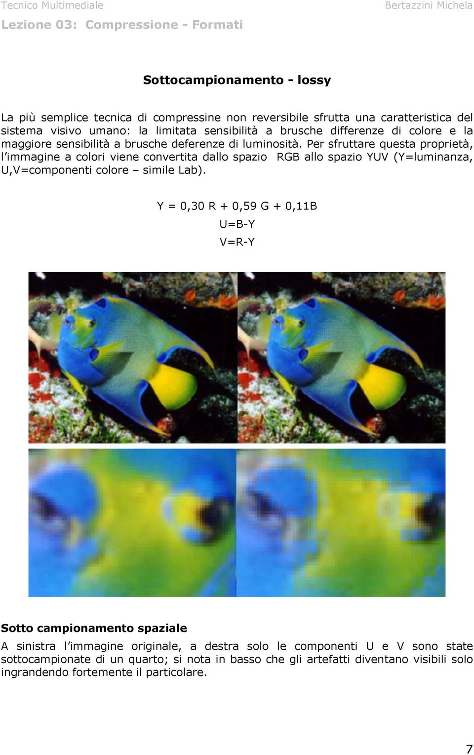 Per sfruttare questa proprietà, l immagine a colori viene convertita dallo spazio RGB allo spazio YUV (Y=luminanza, U,V=componenti colore simile Lab).