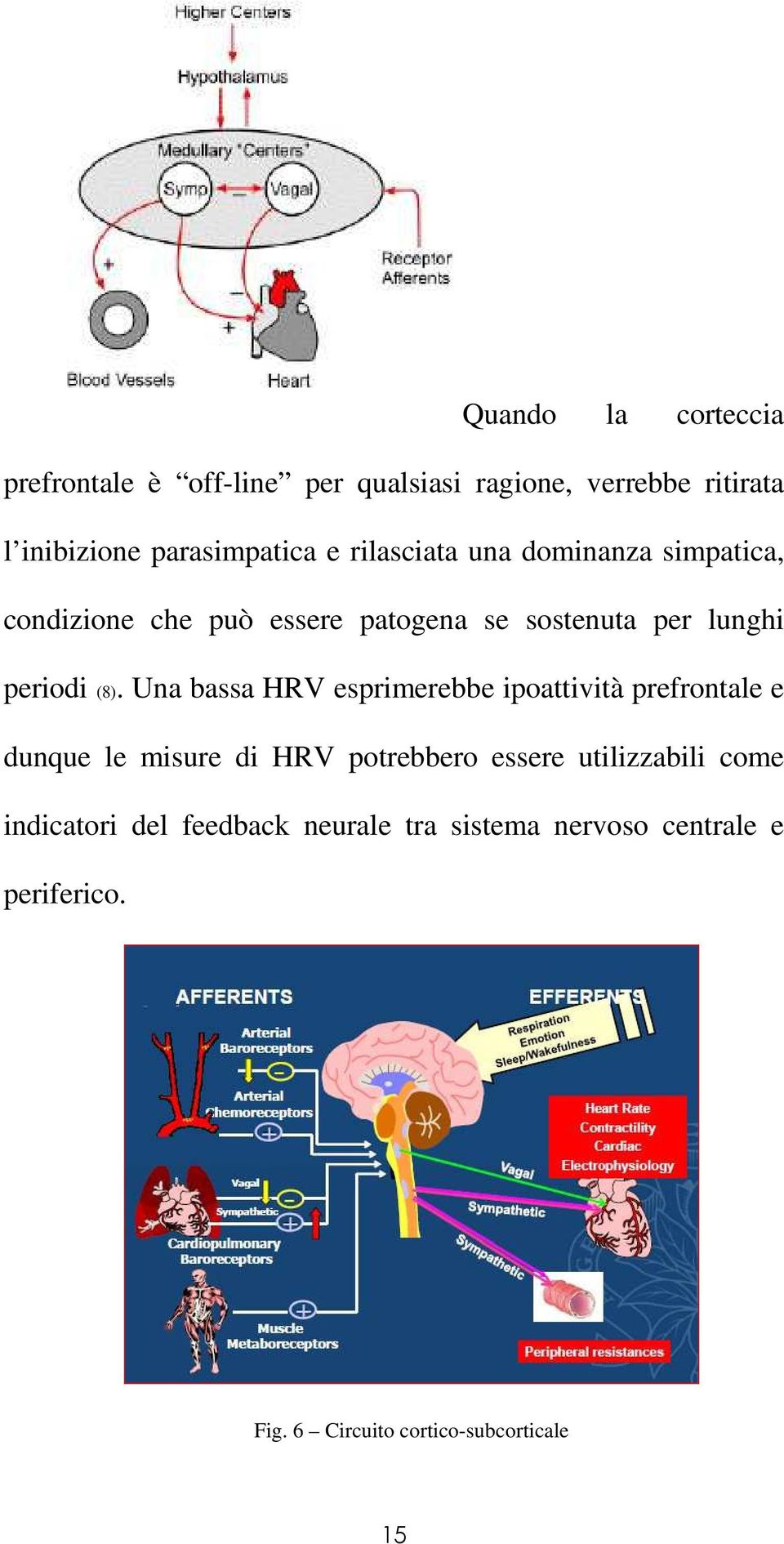 Una bassa HRV esprimerebbe ipoattività prefrontale e dunque le misure di HRV potrebbero essere utilizzabili