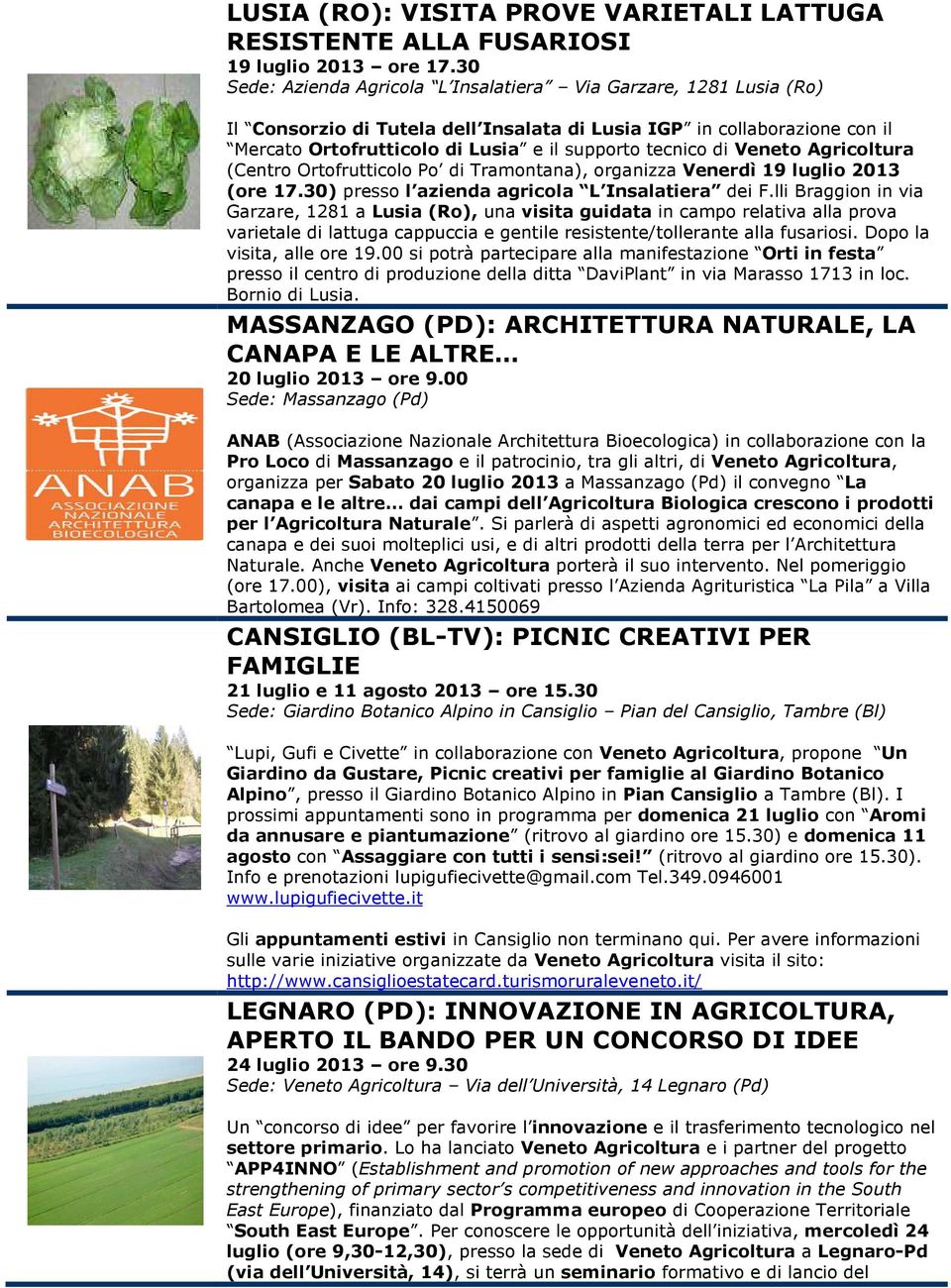 di Veneto Agricoltura (Centro Ortofrutticolo Po di Tramontana), organizza Venerdì 19 luglio 2013 (ore 17.30) presso l azienda agricola L Insalatiera dei F.