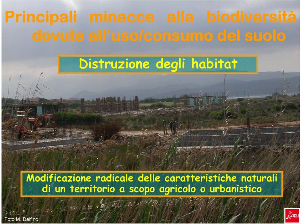 Modificazione radicale delle caratteristiche naturali