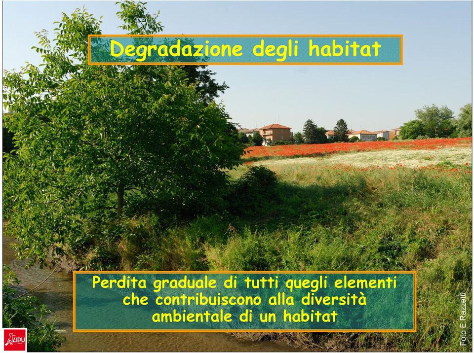 diversità ambientale di un habitat