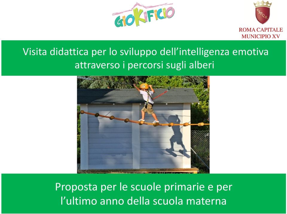 i percorsi sugli alberi Proposta per le scuole