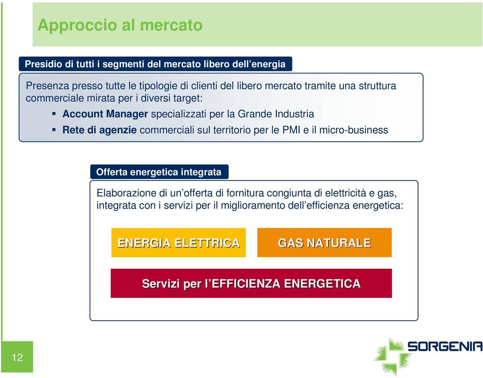 commerciali sul territorio per le PMI e il micro-business Offerta energetica integrata Elaborazione di un offerta di fornitura congiunta di