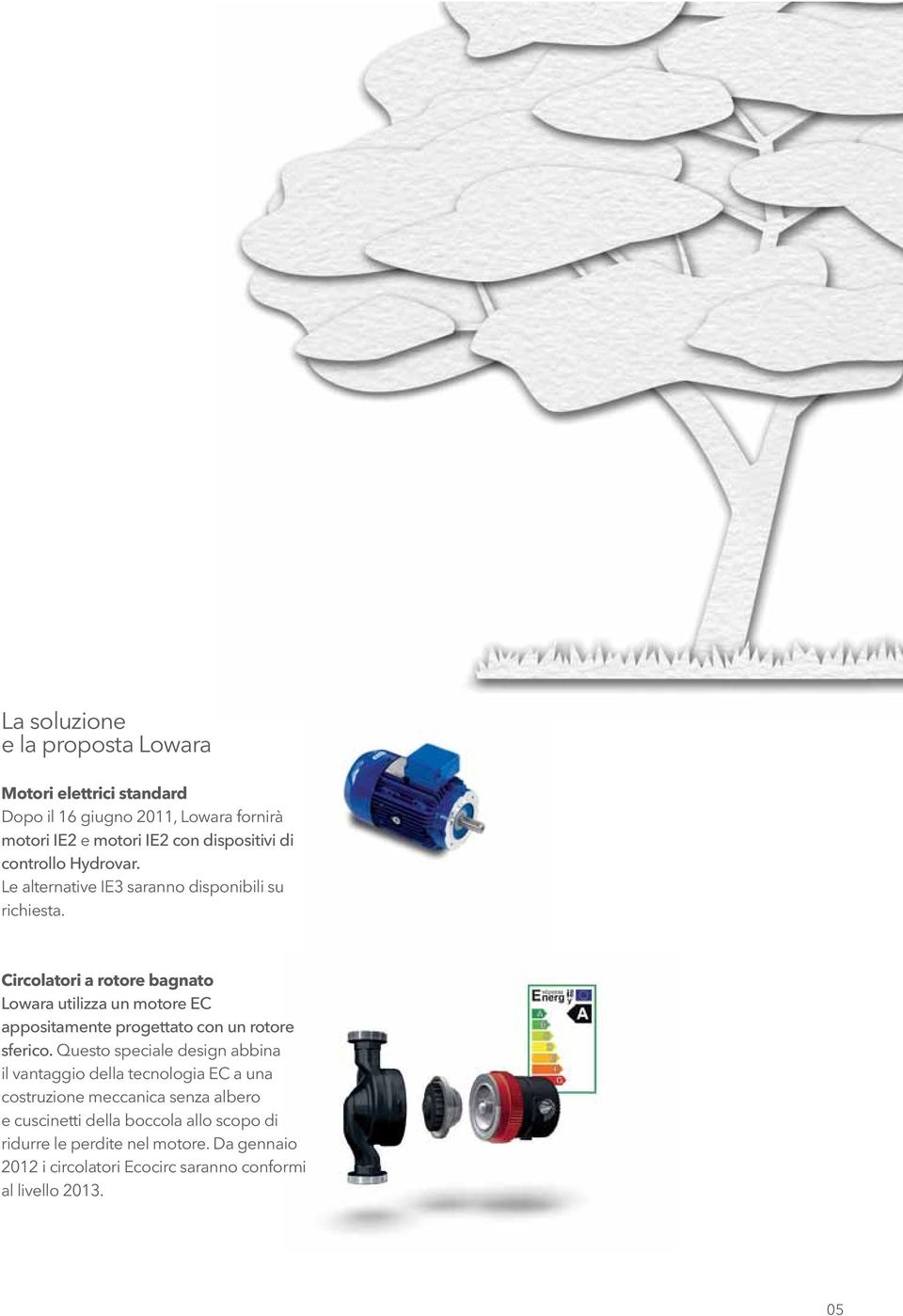 Circolatori a rotore bagnato Lowara utilizza un motore EC appositamente progettato con un rotore sferico.