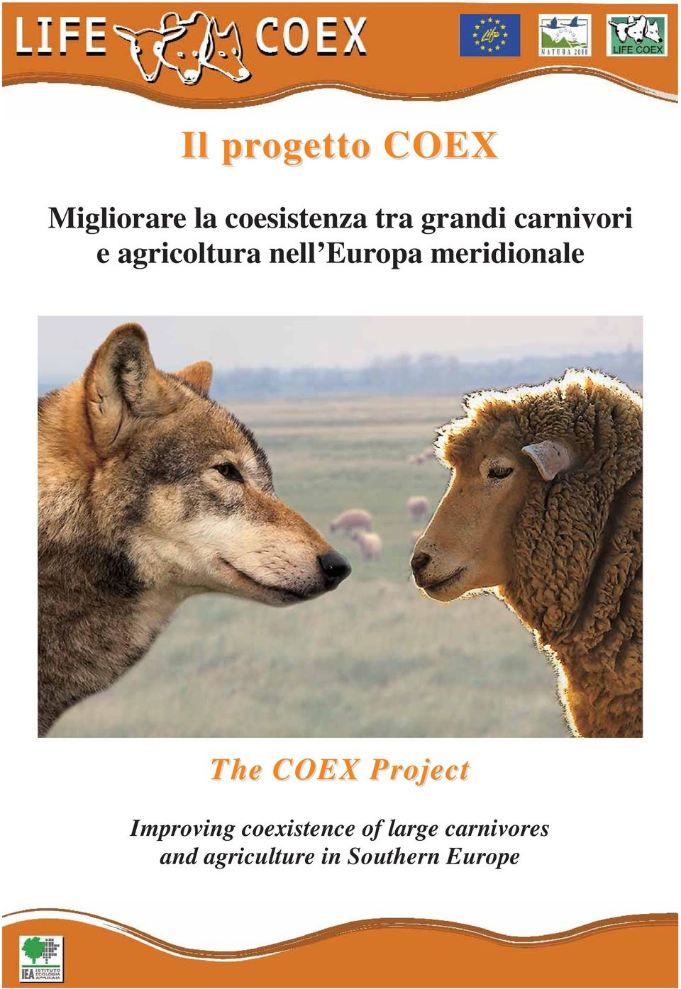 meridionale The COEX Project Improving