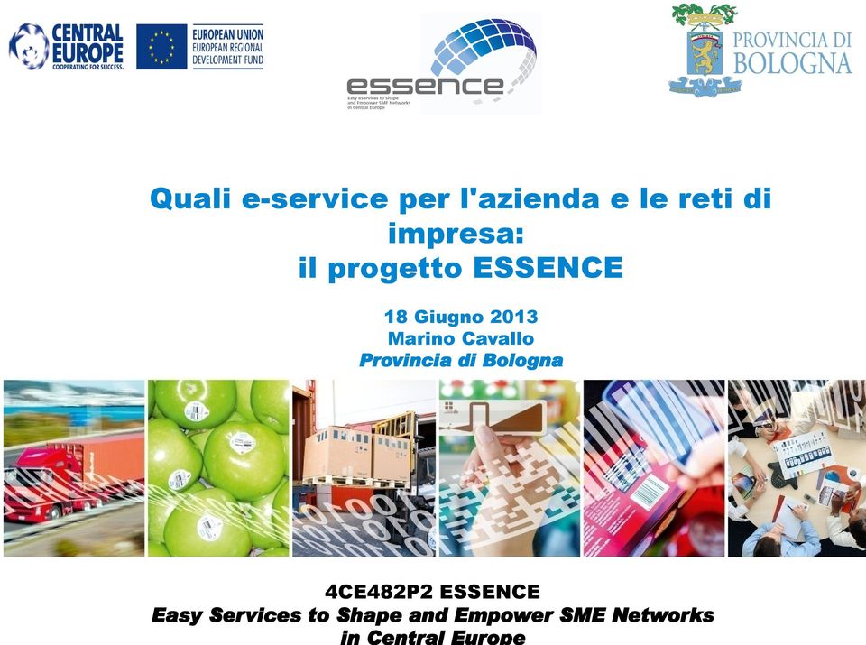 l'azienda e le reti di impresa: il progetto ESSENCE