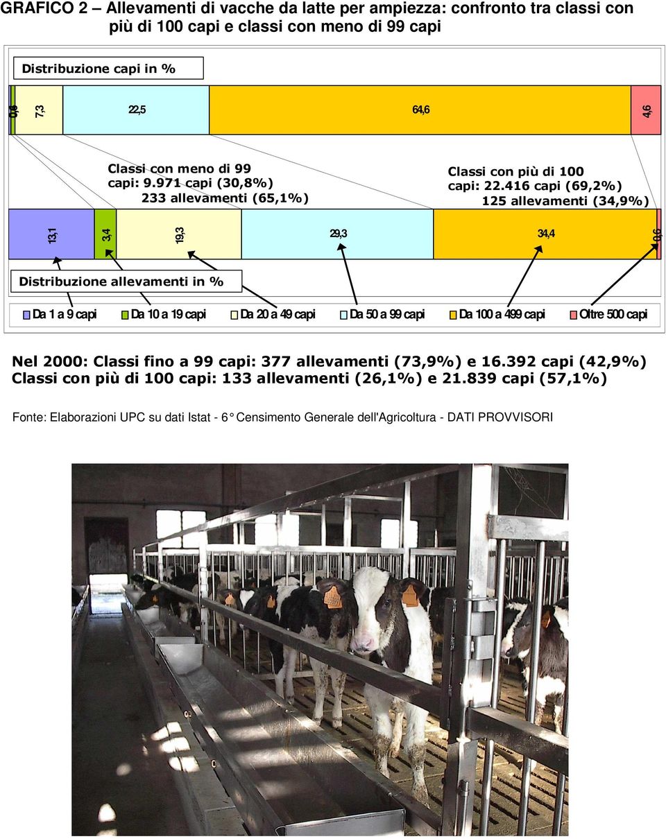 416 capi (69,2%) 125 allevamenti (34,9%) 13,1 3,4 19,3 29,3 34,4 0,6 Distribuzione allevamenti in % Da 1 a 9 capi Da 10 a 19 capi Da 20 a 49 capi Da 50 a 99 capi Da 100 a 499 capi