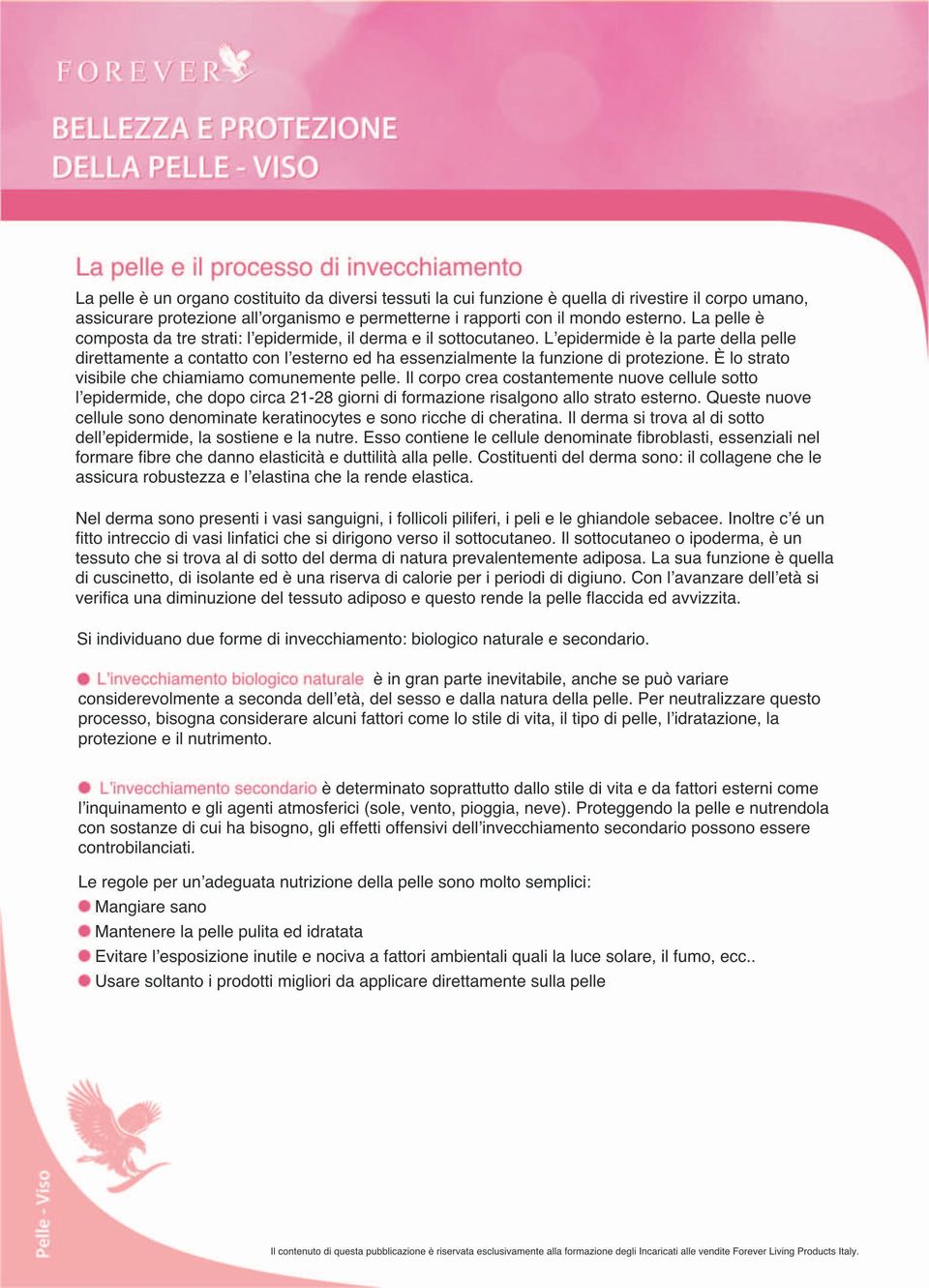 L'epidermide è la parte della pelle direttamente a contatto con l'esterno ed ha essenzialmente la funzione di protezione. È lo strato visibile che chiamiamo comunemente pelle.